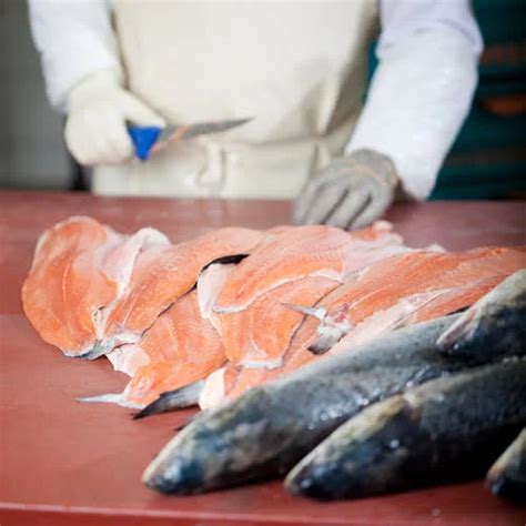 How To Tell If Fish Has Gone Bad (Smell, Touch, Taste).